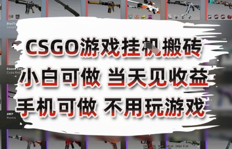 CSGO游戏挂G搬砖，小白纯手机即可操作，不用电脑打游戏，日入3张+，副业网创项目【揭秘】-冒泡网