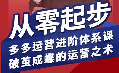 拼多多运营进阶系统课，从零起步，多多运营进阶体系课，破茧成蝶的运营之术(更新9月)-冒泡网