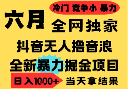 25年6月高爆抖音无人直播最新撸音浪掘金项目，小白可做，无脑日入1k+，门槛低可批量矩阵【揭秘】-冒泡网