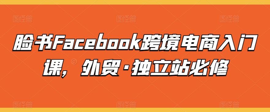 脸书Facebook跨境电商入门课，外贸·独立站必修-冒泡网