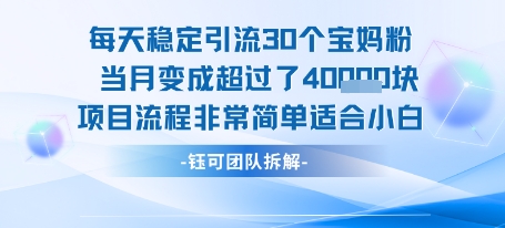 每天稳定引流30个人 当月变成超过了4个W项目流程非常简单适合小白-冒泡网