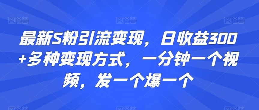 最新S粉引流变现，日收益300+多种变现方式，一分钟一个视频，发一个爆一个【揭秘】-冒泡网