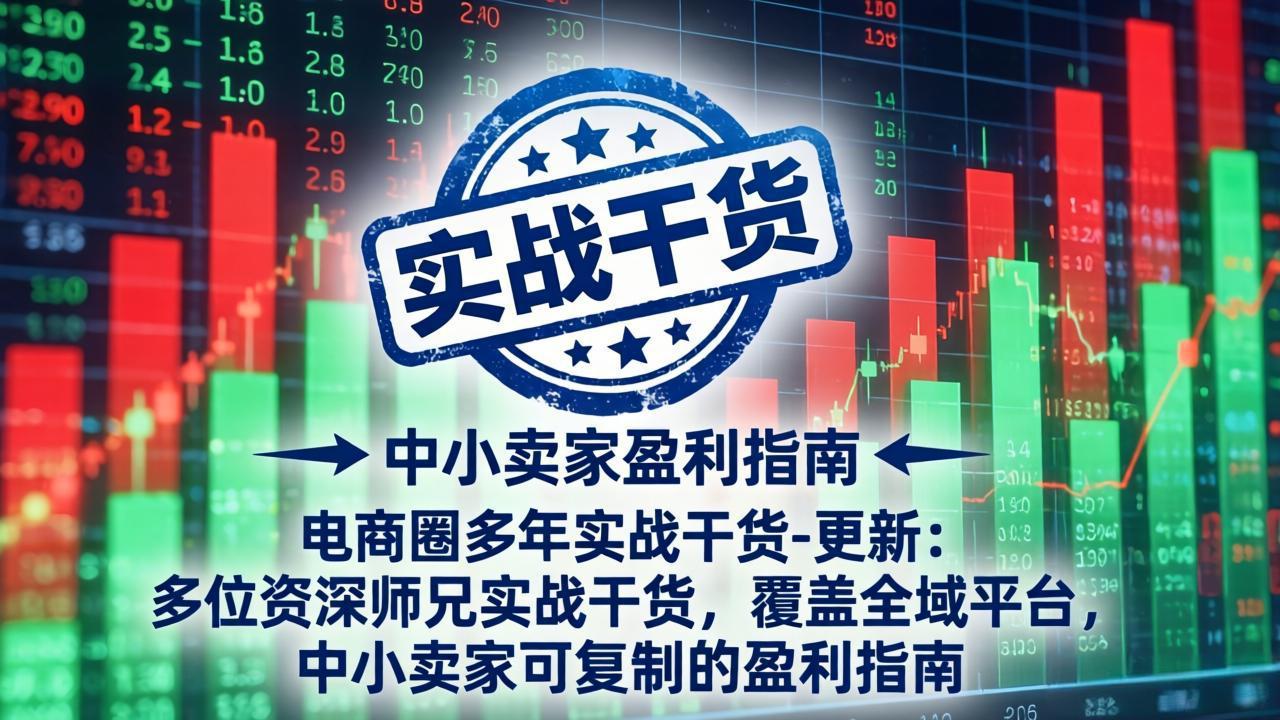 电商圈多年实战干货-更新5月10：多位资深师兄实战干货/覆盖全域平台，中小卖家可复制的盈利指南-冒泡网