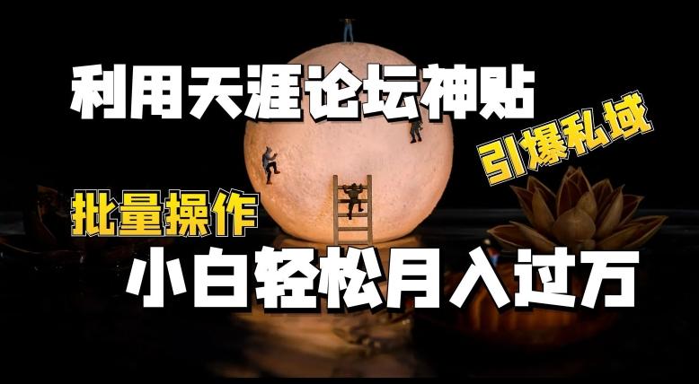 利用天涯论坛神贴，引爆私域，批量操作，小白轻松月入过w【揭秘】-冒泡网