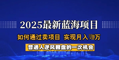 2025蓝海项目，普通人如何通过卖项目，实现月入过W，全过程【揭秘】-冒泡网