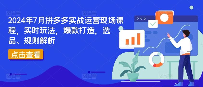 2024年7月拼多多实战运营现场课程，实时玩法，爆款打造，选品、规则解析-冒泡网