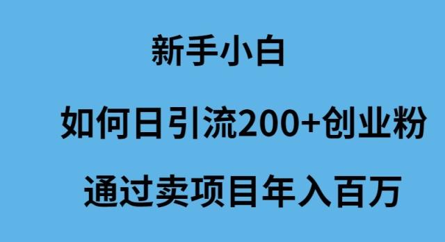 (9668期)新手小白如何日引流200+创业粉通过卖项目年入百万-冒泡网