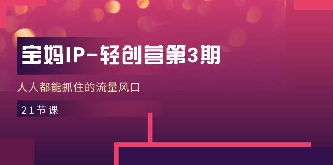宝妈IP-轻创营第3期，人人都能抓住的流量风口(21节课-冒泡网
