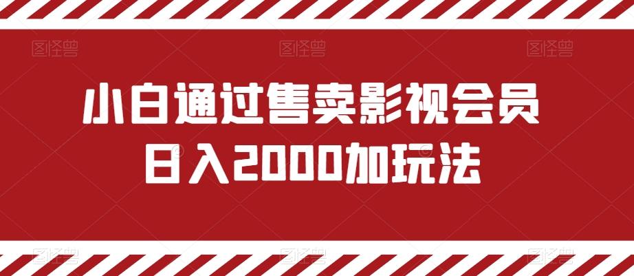 小白通过售卖影视会员日入2000加玩法-冒泡网