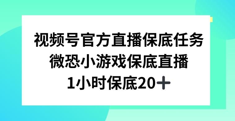视频号直播任务，微恐小游戏，1小时20+【揭秘】-冒泡网