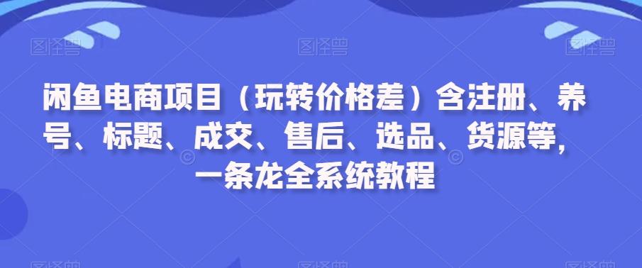 闲鱼电商项目(玩转价格差)含注册、养号、标题、成交、售后、选品、货源等，一条龙全系统教程-冒泡网