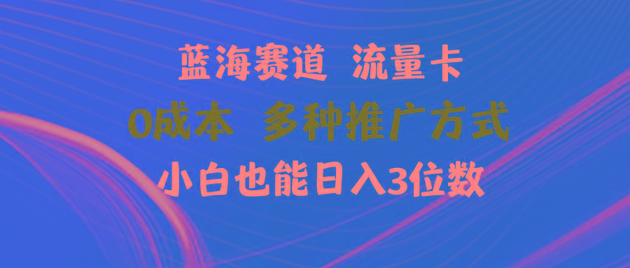 蓝海赛道 流量卡 0成本 小白也能日入三位数-冒泡网