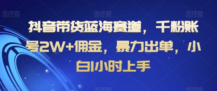 抖音带货蓝海赛道，千粉账号2W+佣金，暴力出单，小白1小时上手【揭秘】-冒泡网