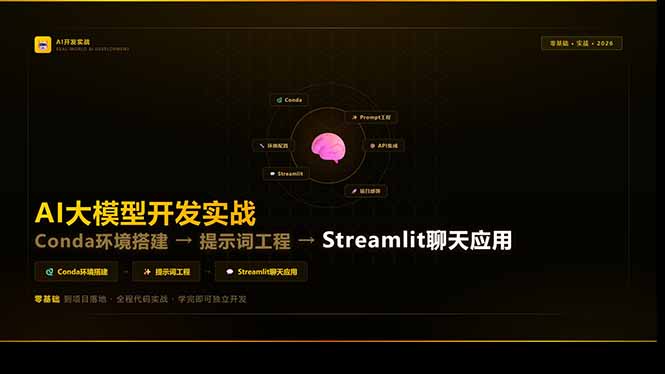 AI大模型开发实战：Conda环境搭建→提示词工程→Streamlit聊天应用，零基础到项目落地-冒泡网