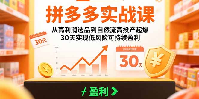 拼多多实战课：从高利润选品到自然流高投产起爆 30天实现低风险可持续盈利-冒泡网