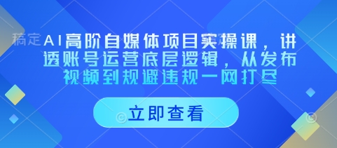 AI高阶自媒体项目实操课，讲透账号运营底层逻辑，从发布视频到规避违规一网打尽-冒泡网