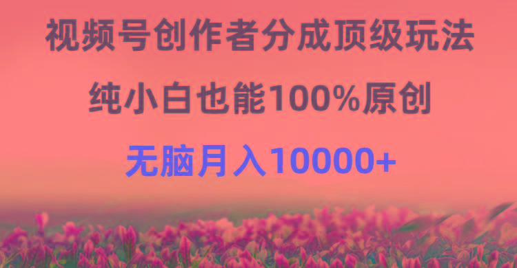 (9608期)视频号创作者分成顶级玩法，纯小白也能100%原创，无脑月入10000+-冒泡网