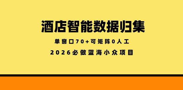 酒店智能数据归集，小众蓝海已经稳定半年之久，单窗口70+零成本矩阵开干【揭秘】-冒泡网