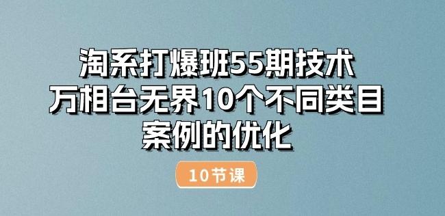 淘系打爆班55期技术：万相台无界10个不同类目案例的优化(10节)-冒泡网
