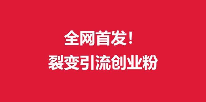(全网首发)外面收费几千的裂变引流高质量创业粉-冒泡网