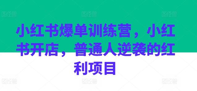 小红书爆单训练营，小红书开店，普通人逆袭的红利项目-冒泡网