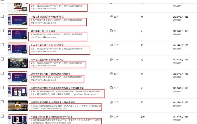 74c5a173e7b7093315b4e25d664108b0.jpeg 2025油管引流术,分享我是如何通过油管做引流的