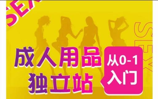 成人用品独立站从0-1入门，成品独立站运营全流程教学，七大好卖成品独立站推荐-冒泡网