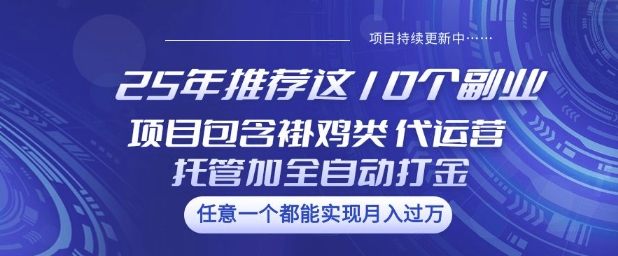 25年推荐这10个副业项目包含褂鸡类、代运营托管类、全自动打金类【揭秘】-冒泡网