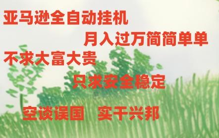 亚马逊全自动浏览挂机，，收益稳定且前景广阔-冒泡网