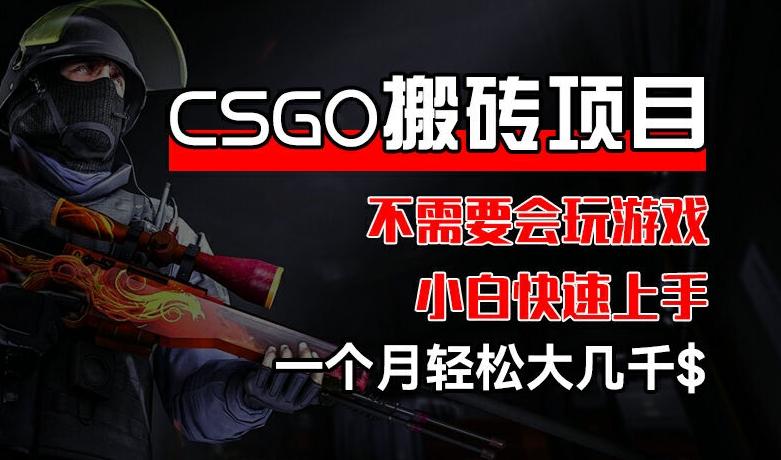 CSGO 装备搬砖项目，操作简单，不需要会玩游戏，小白也能快速上手，一个月轻松大几千【揭秘】-冒泡网