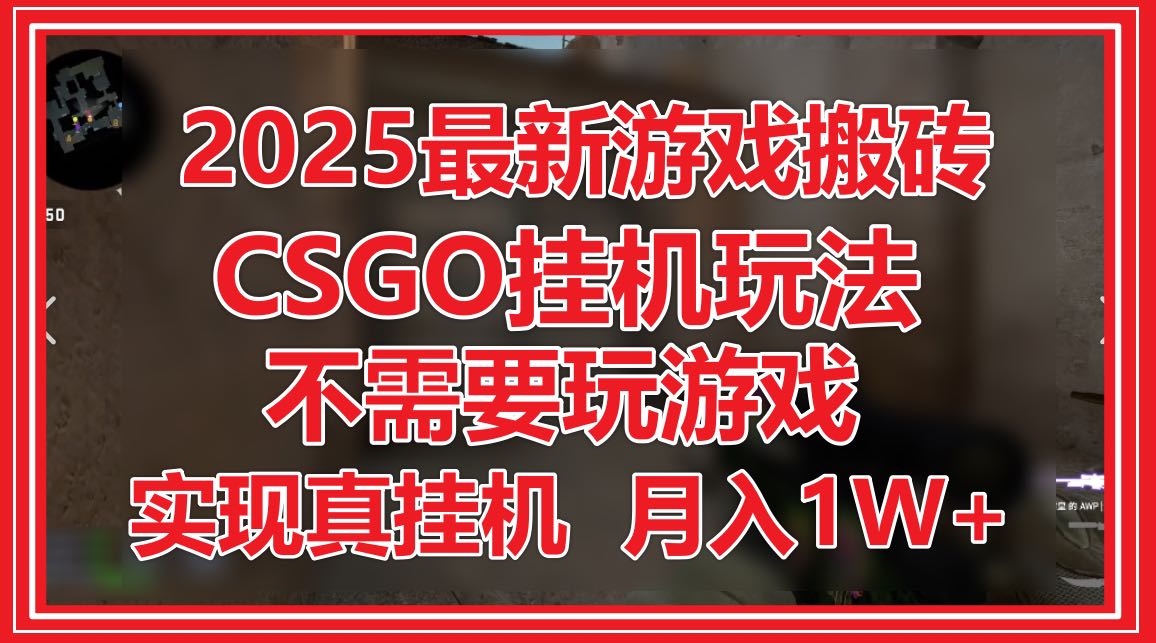 2025最新游戏搬砖，CSGO挂机，不需要玩游戏，实现真挂机，月入1W+-冒泡网