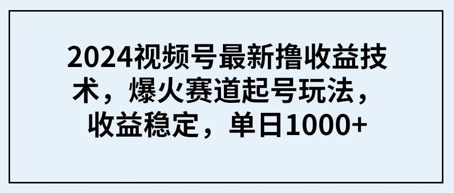 (9651期) 2024视频号最新撸收益技术，爆火赛道起号玩法，收益稳定，单日1000+-冒泡网