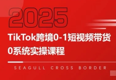 大亿老师·TikTok跨境0-1短视频带货-冒泡网