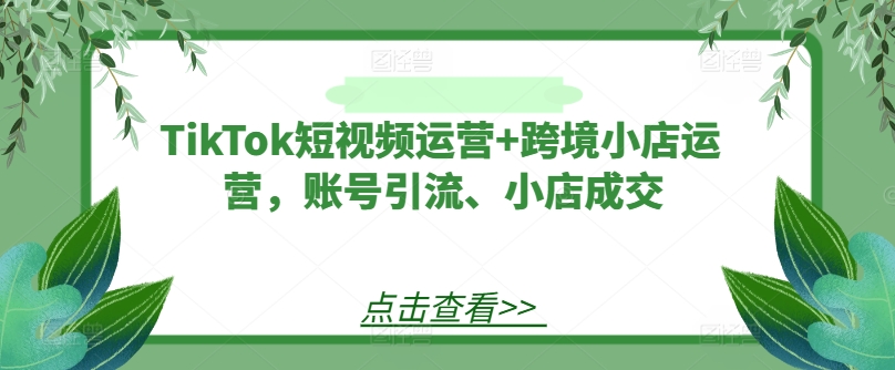 TikTok短视频运营+跨境小店运营，账号引流、小店成交-冒泡网