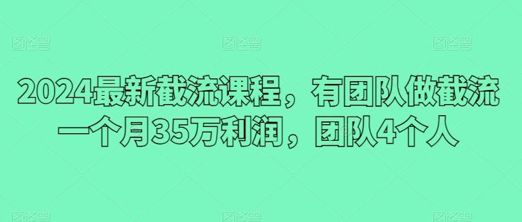 2024最新截流课程，有团队做截流一个月35万利润，团队4个人-冒泡网