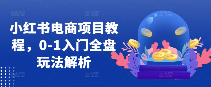 小红书电商项目教程，0-1入门全盘玩法解析-冒泡网