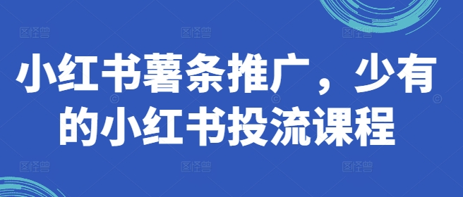 小红书薯条推广，少有的小红书投流课程-冒泡网