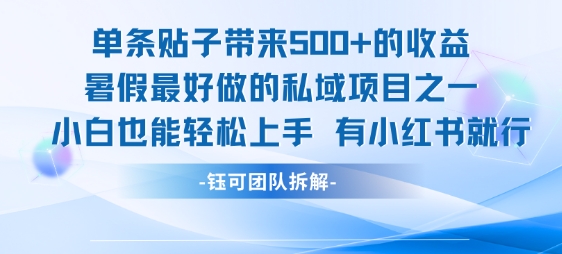 单条贴子带来5张的收益，暑假最好做的私域项目之一，小白也能轻松上手，有小红书就行-冒泡网