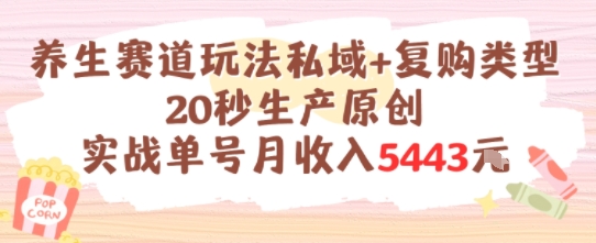 养生赛道玩法私域+复购类型，20秒生产原创实战单号月收入5k+-冒泡网