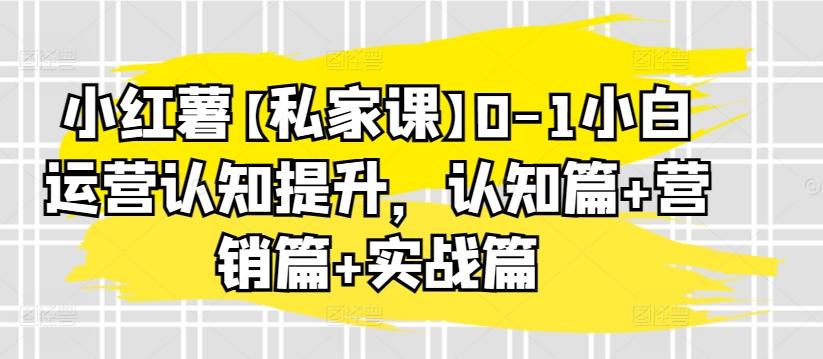 小红薯【私家课】0-1小白运营认知提升，认知篇+营销篇+实战篇-冒泡网