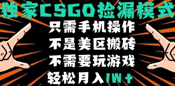 CSGO自动捡漏项目，最新独家玩法，不是美区搬砖，不需要了解和玩游戏，新手小白轻松月入1W+【揭秘】-冒泡网