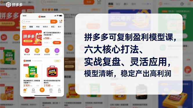 拼多多可复制盈利模型课，六大核心打法、实战复盘、灵活应用，模型清晰，稳定产出高利润-冒泡网