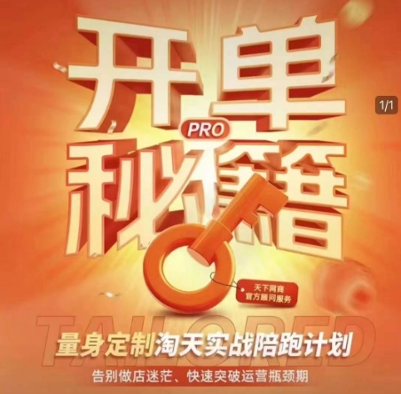 淘宝开单秘籍PRO，量身定制淘天实战陪跑计划，告别做店迷茫、快速突破运营瓶颈期(更新6月)-冒泡网