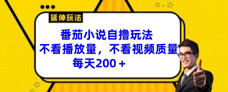 番茄小说自撸玩法，不看播放量，不看视频质量，每天200+【揭秘】-冒泡网