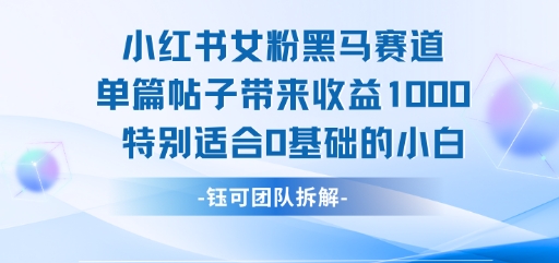 小红书女粉黑马赛道单篇帖子带来收益1k+，特别适合0基础的小白-冒泡网