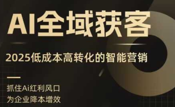 AI全域获客实训营，2025低成本高转化的智能营销，精准找客，高效营销-冒泡网