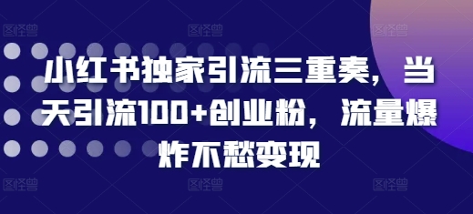 小红书独家引流三重奏，当天引流100+创业粉，流量爆炸不愁变现【揭秘】-冒泡网