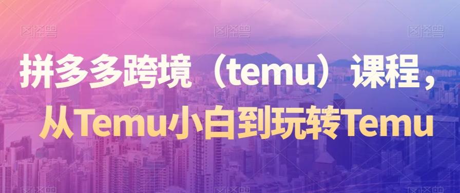 拼多多跨境（temu）课程，从Temu小白到玩转Temu-冒泡网