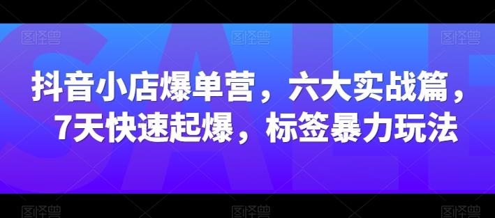抖音小店爆单营，六大实战篇，7天快速起爆，标签暴力玩法-冒泡网