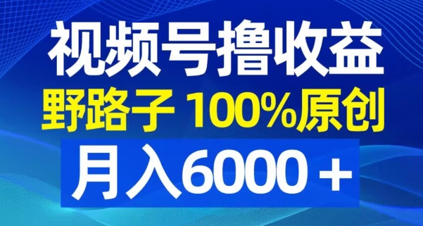 视频号野路子撸收益，100%原创，条条爆款，月入6000＋【揭秘】-冒泡网
